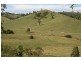 Dungog NSW 2420