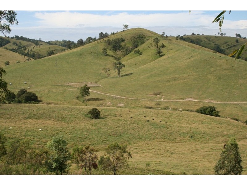 Dungog NSW 2420