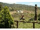 Hilldale NSW 2420