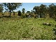 Hilldale NSW 2420