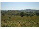 Eccleston NSW 2311