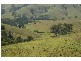 Eccleston NSW 2311