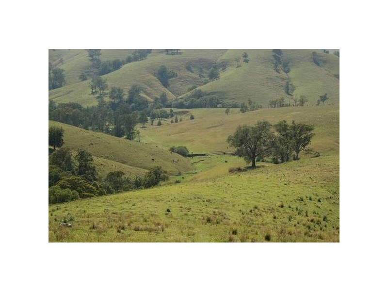 Eccleston NSW 2311