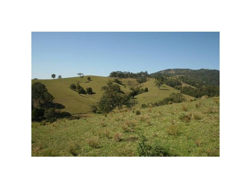 Eccleston NSW 2311