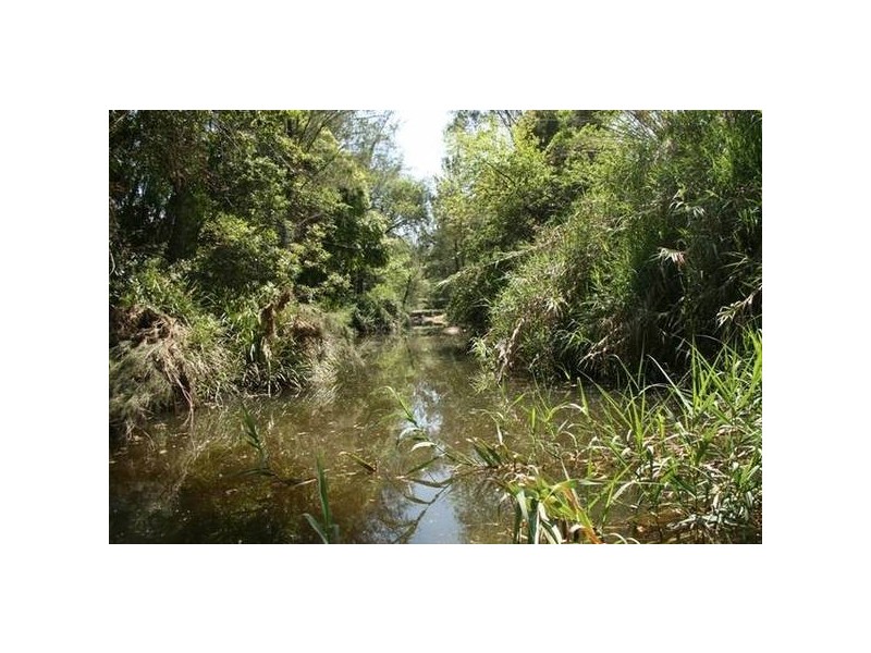 Eccleston NSW 2311