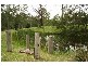 Dungog NSW 2420