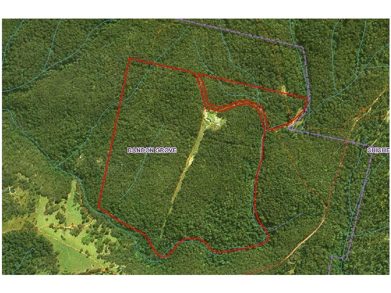 321 Wangat Trig Road, Dungog NSW 2420