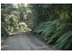321 Wangat Trig Road, Dungog NSW 2420