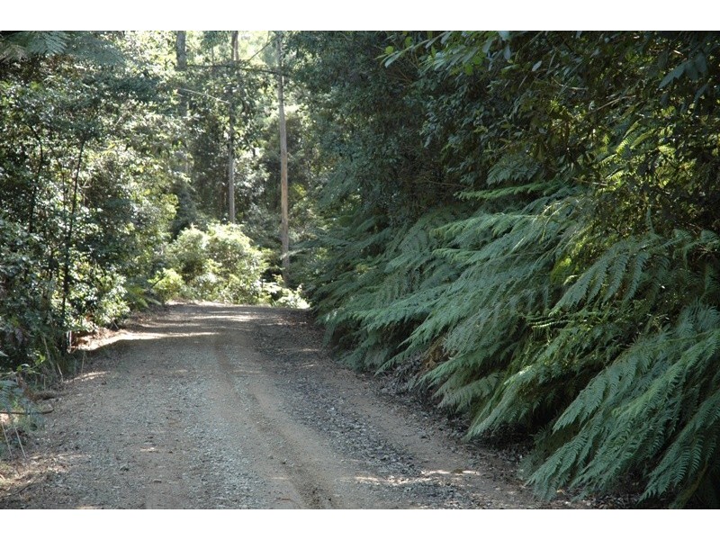 321 Wangat Trig Road, Dungog NSW 2420