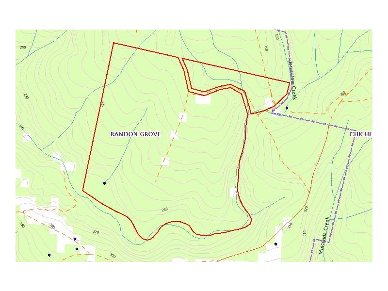 321 Wangat Trig Road, Dungog NSW 2420
