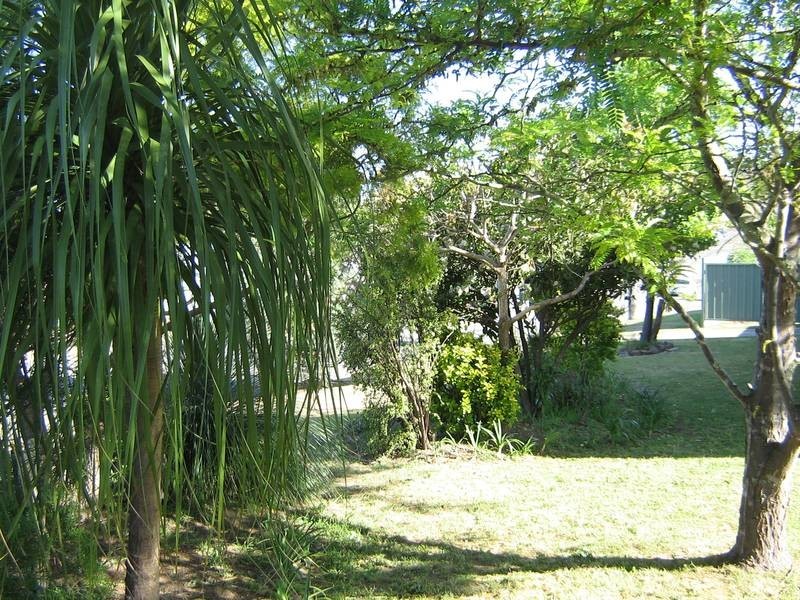 96 Hooke Street, Dungog NSW 2420