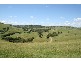 Dungog NSW 2420