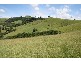 Dungog NSW 2420
