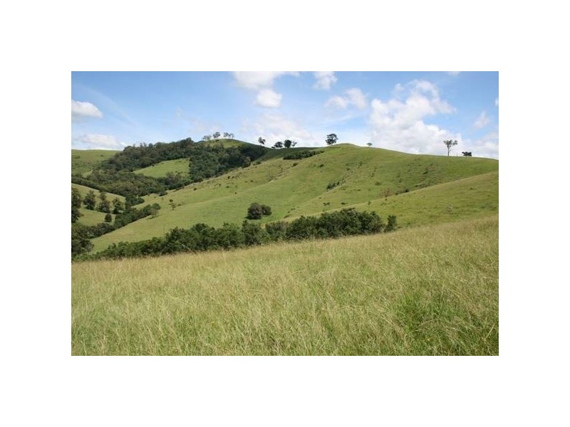 Dungog NSW 2420
