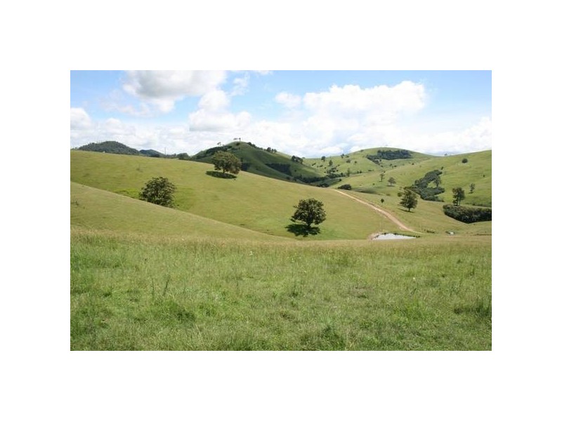Dungog NSW 2420