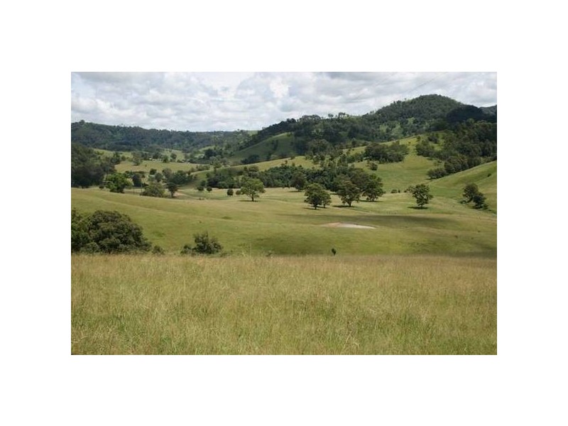 Dungog NSW 2420