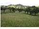 Dungog NSW 2420
