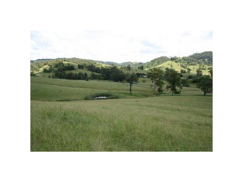 Dungog NSW 2420
