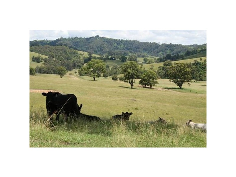 Dungog NSW 2420