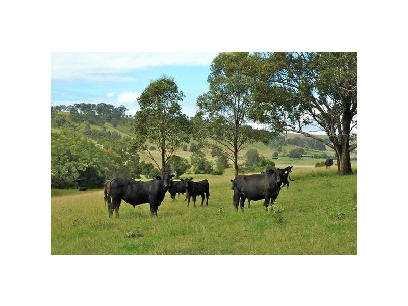 Wallarobba NSW 2420