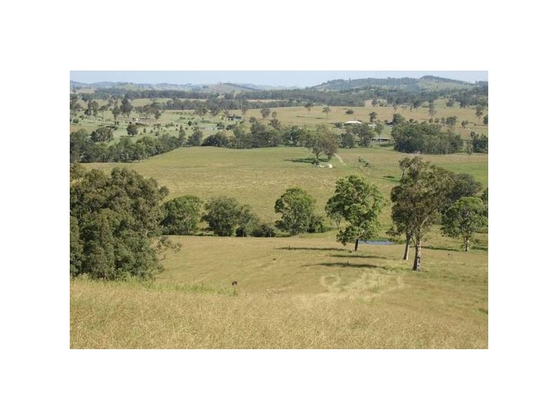 Dungog NSW 2420