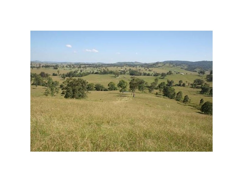 Dungog NSW 2420
