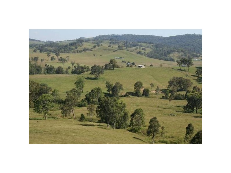 Dungog NSW 2420