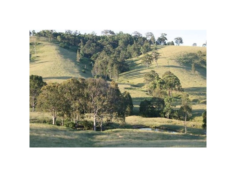 Dungog NSW 2420
