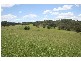 Wallarobba NSW 2420