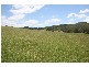 Wallarobba NSW 2420
