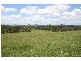Wallarobba NSW 2420