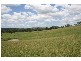 Wallarobba NSW 2420