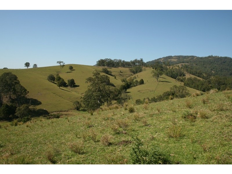 78 Masseys Creek Road, Gresford NSW 2311