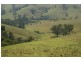 78 Masseys Creek Road, Gresford NSW 2311