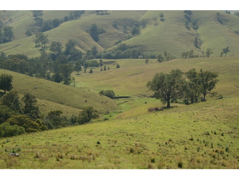 78 Masseys Creek Road, Gresford NSW 2311