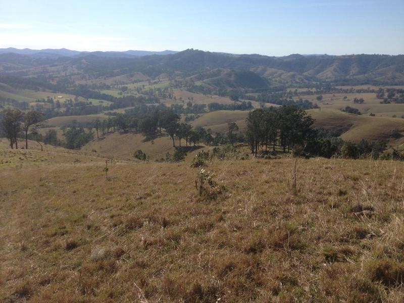 78 Masseys Creek Road, Gresford NSW 2311