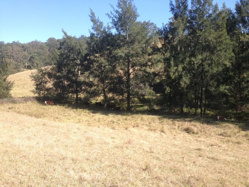 78 Masseys Creek Road, Gresford NSW 2311