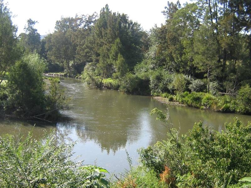 Dungog NSW 2420