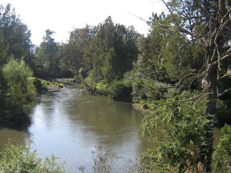 Dungog NSW 2420