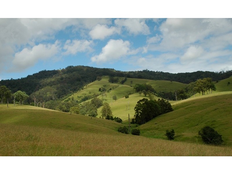 2209 Allyn River Road, Gresford NSW 2311