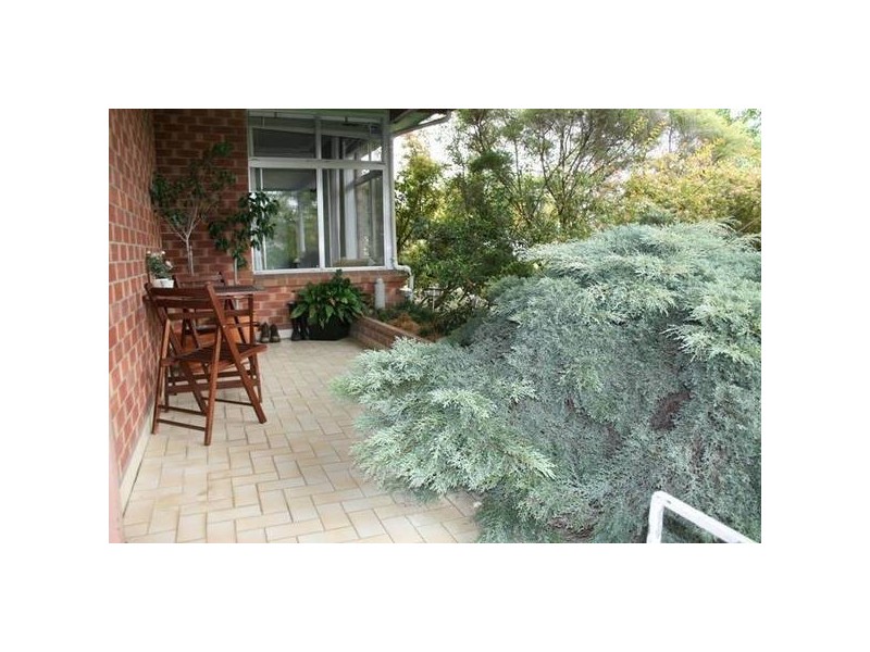 98 Hooke Street, Dungog NSW 2420