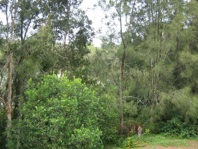Paterson NSW 2421