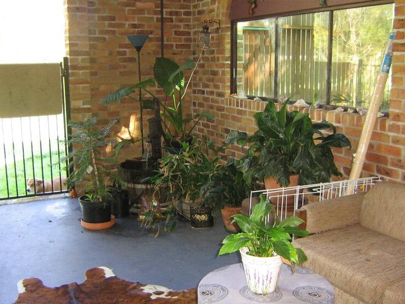Paterson NSW 2421