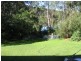 Paterson NSW 2421