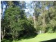 Paterson NSW 2421