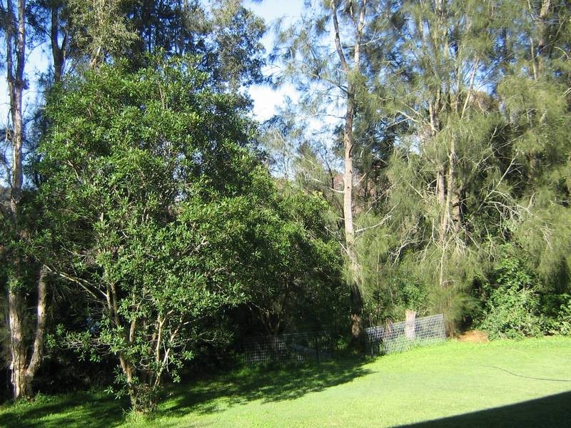 Paterson NSW 2421