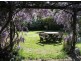 Paterson NSW 2421