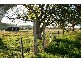 3315 Clarence Town Road, Clarence Town NSW 2321