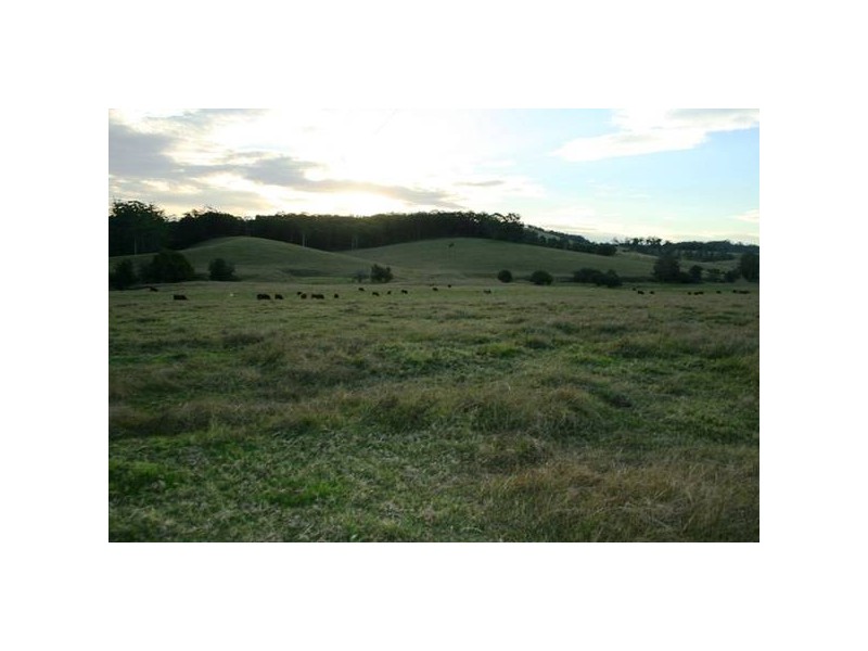 3315 Clarence Town Road, Clarence Town NSW 2321
