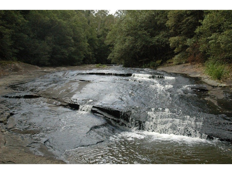 Bandon Grove NSW 2420